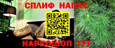 дурь Бийск