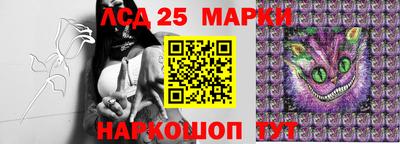 молекула духа Берёзовский