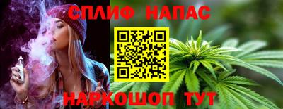 дурь Бийск