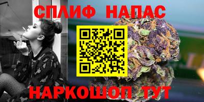 молекула духа Берёзовский