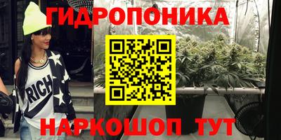 молекула духа Берёзовский