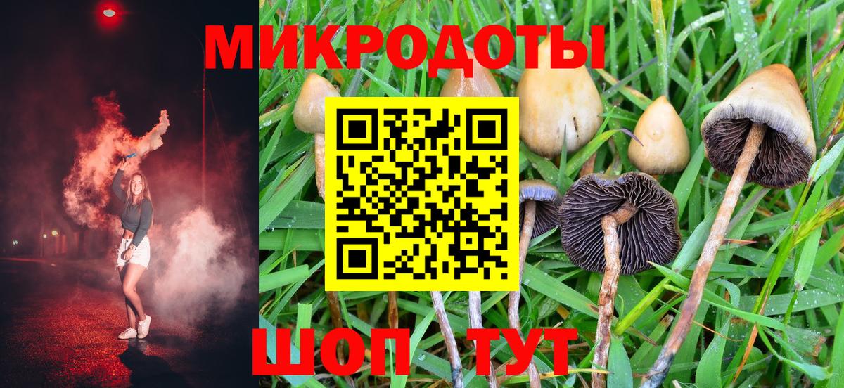 Галлюциногенные грибы мухоморы Керчь