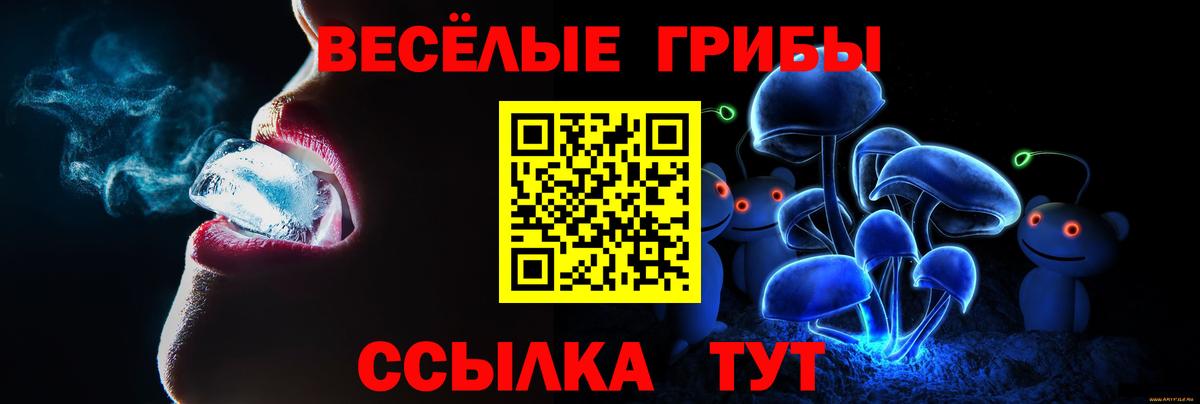 Керчь  Псилоцибиновые грибы MAGIC MUSHROOMS  Псилоцибиновые грибы Magic Shrooms  Вход с VPN 