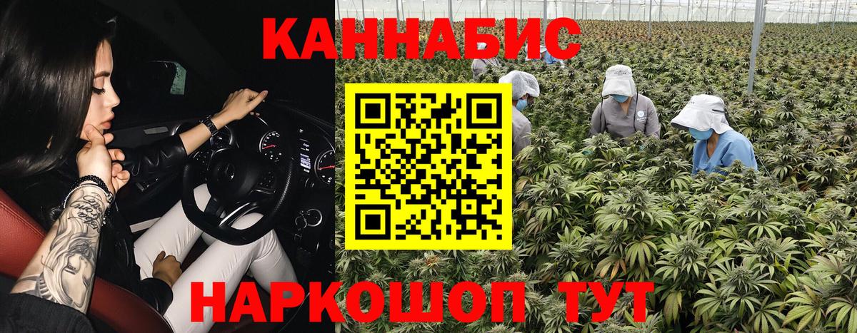 Шишки марихуана марихуана  МАРИХУАНА LSD WEED  Вход с VPN  Керчь 